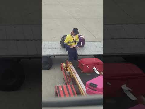 How airport baggage handlers handle your baggage