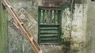 被藤蔓缠绕的老宅#老村庄#城市探索 #老建筑#海岛古古村#遗迹