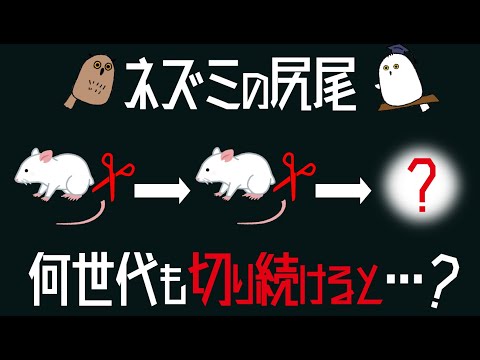 【ゆっくり解説】進化学の創始者：ラマルクの進化論【 科学 / 進化論 / 歴史 】