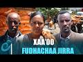 Godina Shawaa Lixaatti Xaa Oo Fi Galteewwaan Qonnaa Biroon Yeroon Qonnaan Bulaaf Dhihaachaa Jiru 