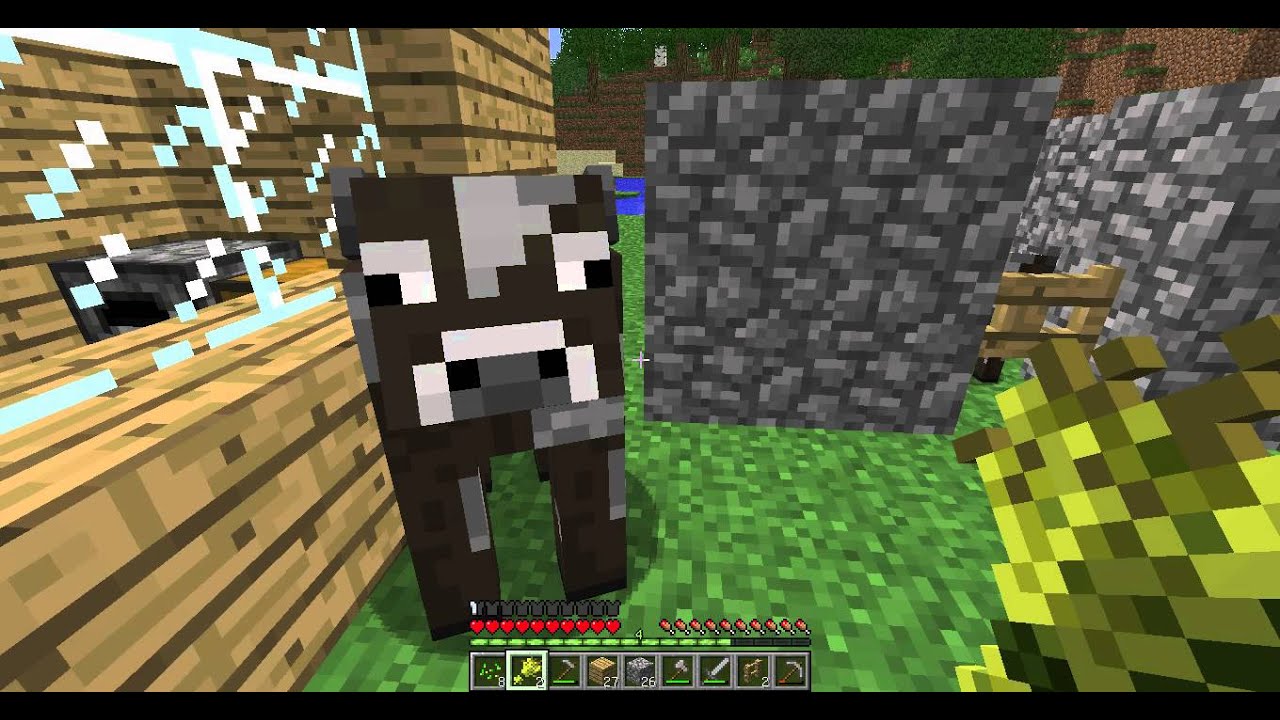 Minecraft Krava Kako namamiti krave u tor i kako ih pariti u Minecraft-u - YouTube