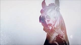 Travel Guide Saint Petersburg, Russia - Welcome to St. Petersburg!