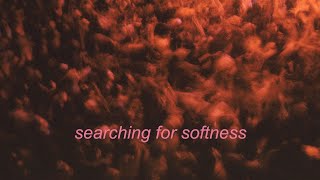 searching for softness / on untreated neurodivergence, cptsd, etc / by cecilia majzoub