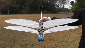 Dragonfly21-11 with Wing flapping amplitude change system: Test Flight 3
