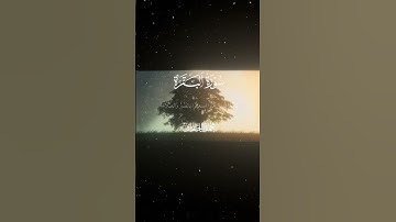 سورة البقرة|152-153|القارئ:#محمد_اللحيدان #قران #quran #قران_كريم #تلاوة#تلاوة_هادئة#آية#تلاوة_خاشعة