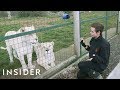 A Day In The Life Of A Keeper At A Big Cat Sanctuary