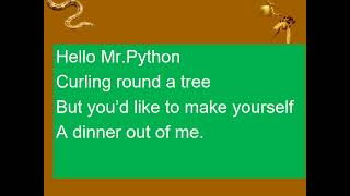 Hello Mr Python poem