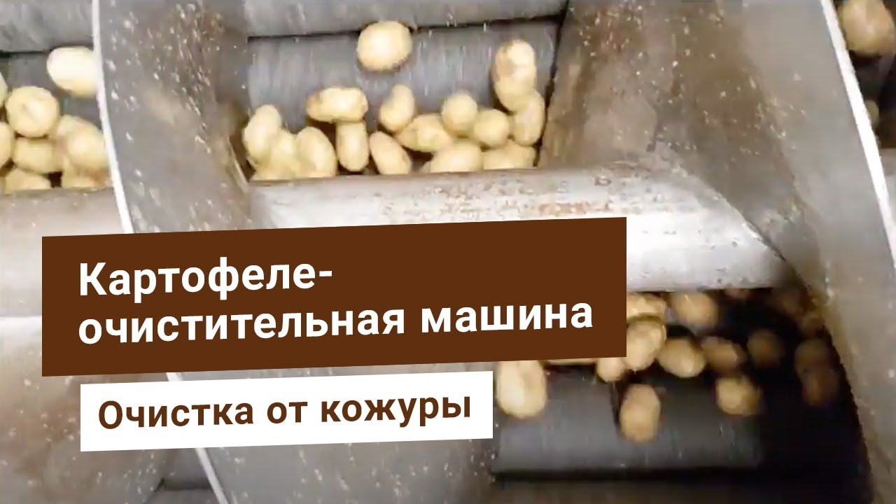Линия чистки картофеля: корундовая (абразивная) и ножевая очистка .