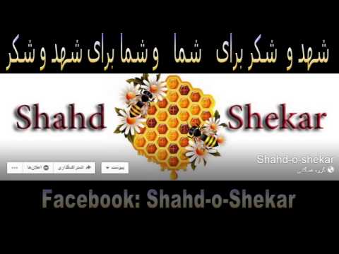 Alireza Hamidreza Eshgh Yani To 