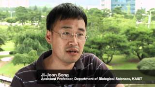 Using Bio-Rads Chemidoc To Answer Interesting Biological Questions