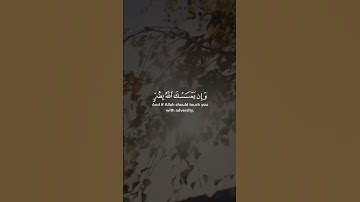 قُلْ إِنِّي أَخَافُ إِنْ عَصَيْتُ رَبِّي عَذَابَ يَوْمٍ عَظِيمٍ (13)  سورة الزمر القارئ  أحمد النفيس