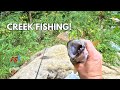 Nice Sauger Fishing With a Tube Jig