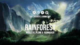 Rainforest - Generative patching with Intellijel Plonk & Rainmaker