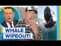 Wind surfer captures moment he was wiped out by whale | Today Show Australia