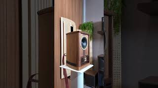 Fyne Audio Vintage 5 . Càng nghe càng nghiện. #speaker #bookshelf #music #home #bahungaudio