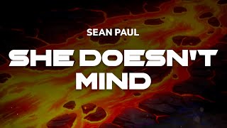 Sean Paul - She Doesn't Mind | Lyrics