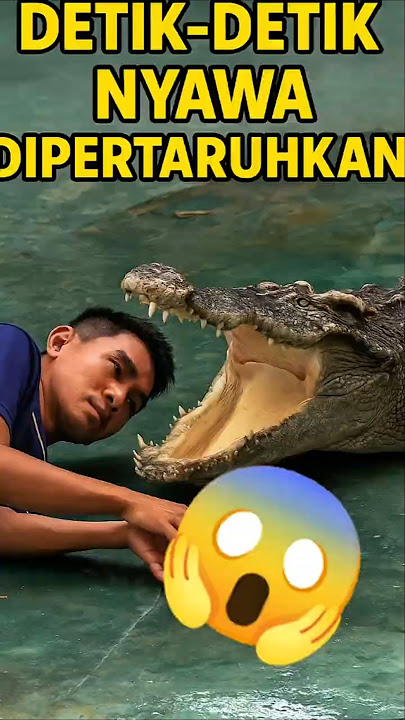 DIA NEKAT TARUH KEPALA DI MULUT BUAYA! 😱 Detik-detik Menegangkan! #shorts #buaya #aksinekat #viral