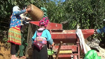 Hnub no peb zom pob kws los tseg thiaj tau pub qaib pub npua nawb