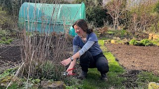 Garden with Me & March Allotment Tour 2023