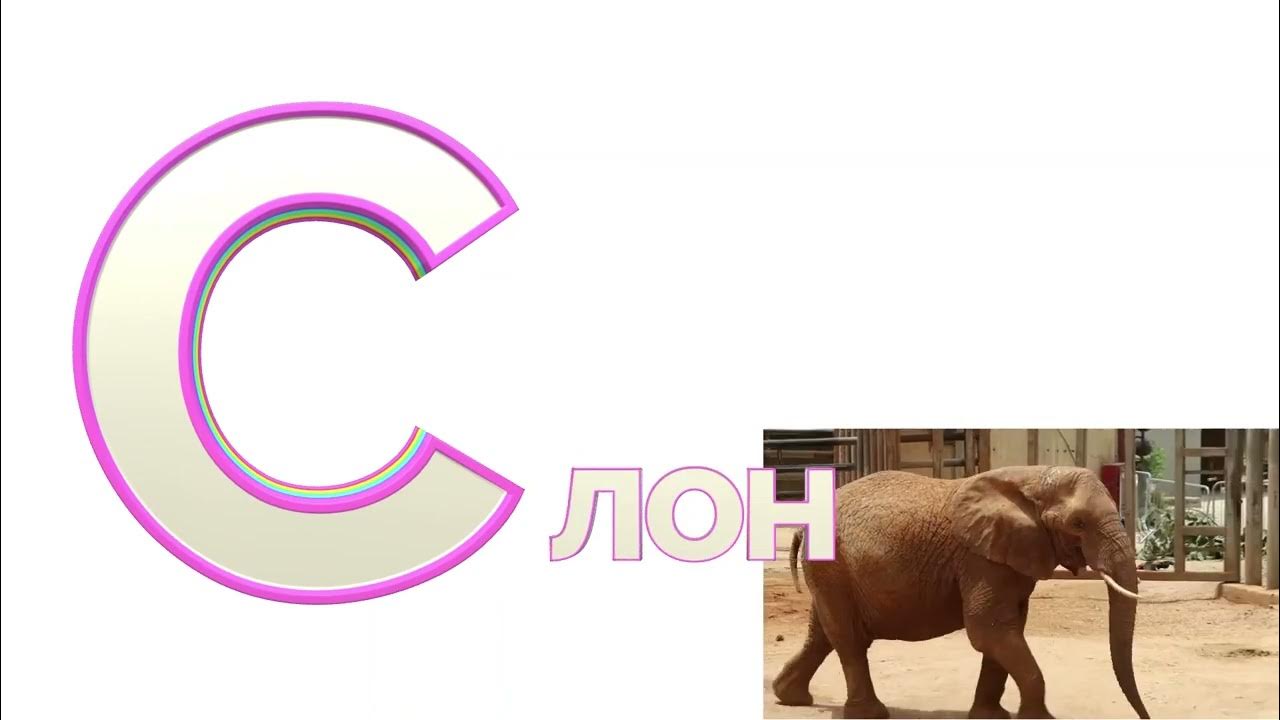 буква с слон - YouTube