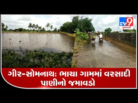 Rain water yet to recede in Bhacha village, Gir-Somnath | Tv9GujaratiNews