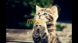 Rei Bravo feat Josue_ Sinto a tua Falta (letra)