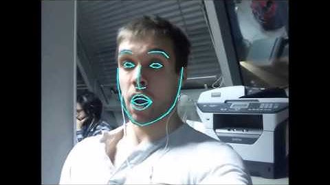 Large pose face alignment