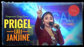 PRIGEL PANGAYU ANJARWENING - LALI JANJINE feat campursari SURYA BUANA