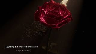 DEMOREEL 2026