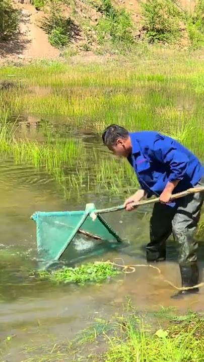 Fishing in Mohe the northeast🎣The joy of outdoor fishing🐟Wild fishing experiencex🐠 #506