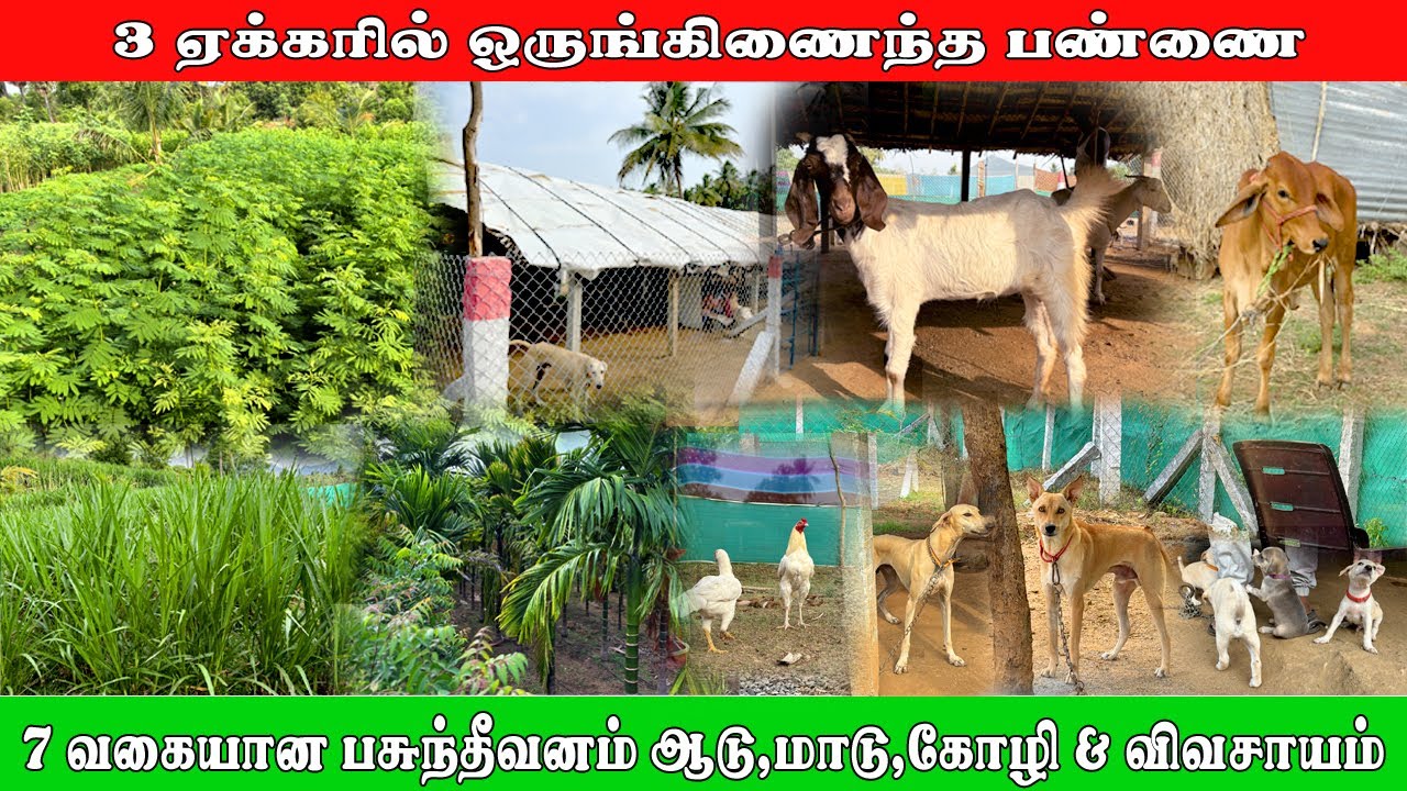 3 ஏக்கரில் ஒருங்கிணைந்த பண்ணை | integrated farming tamil | vivasaya nanban | BB Farm