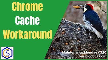 Chrome Browser Workaround When Working on Your Joomla Site - 🛠 MM #320