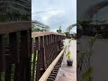 Sumbu Seremoni IKN: Hijau Asri!