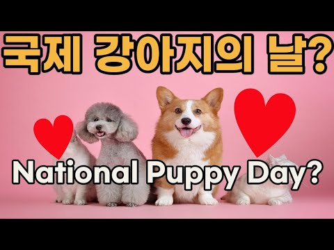 국제 강아지의 날 National Puppy Day는 언제일까? 무엇을 하는 날일까? 국제 강아지의 날에 반려견 강아지 애견 개를 위해서 나는 무엇을 할 수 있을까? 보호자