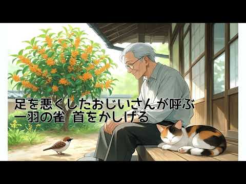 ねこぴCat - YouTube