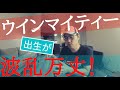 馬は血統じゃない！ウインマイティーの強さの秘密について話ます！