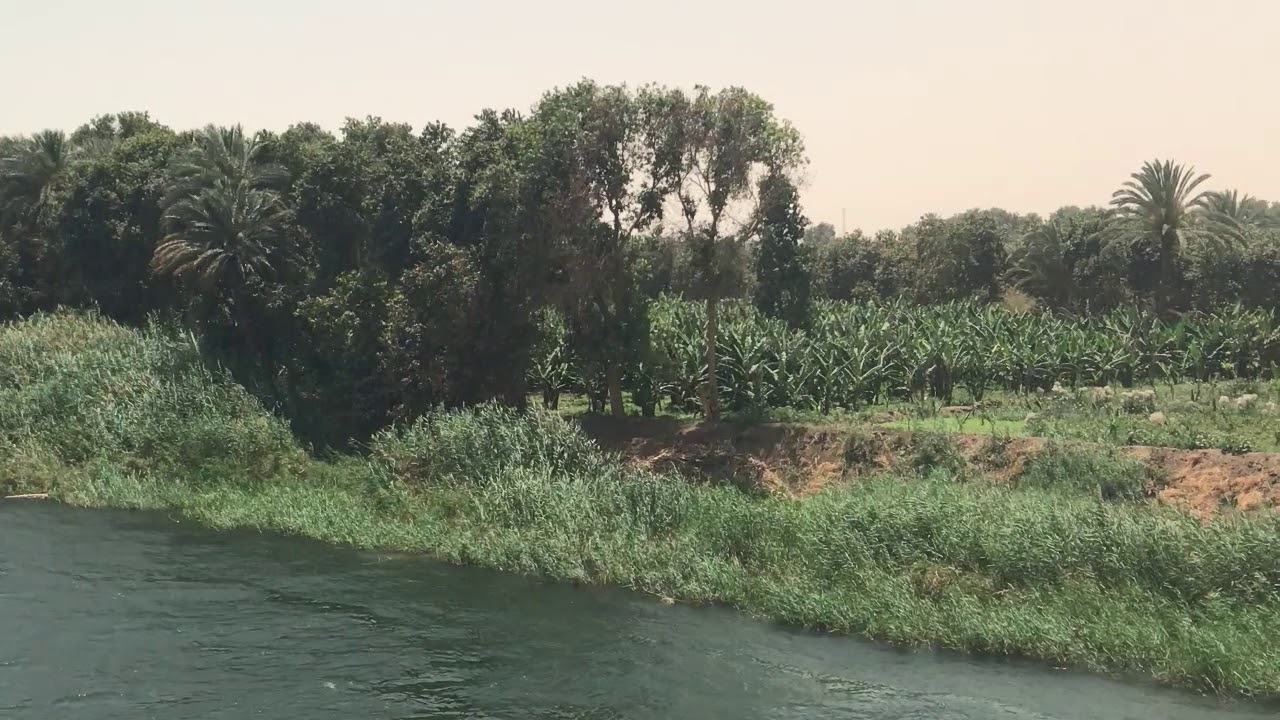 Views from a Nile Cruise