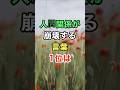 人間関係が崩壊する言葉1位は #名言 #雑学 #知恵 #開運
