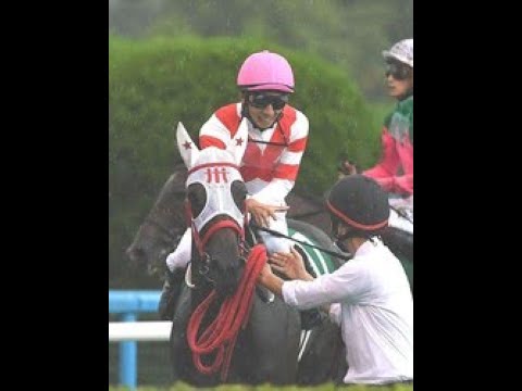 九州産馬ヨカヨカの重賞Ｖにまつわるドラマ 幸英明と谷八郎師の深い縁|Top News