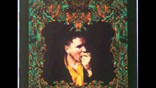 Video thumbnail of "Gavin Friday - Where In The World"