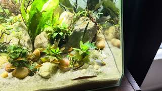 Top Fin Angled View 10 Gallon Aquarium Kit