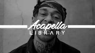 Ty Dolla $ign - Spicy feat. Post Malone (Acapella - Vocals Only)