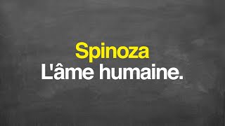 Spinoza : l'âme humaine