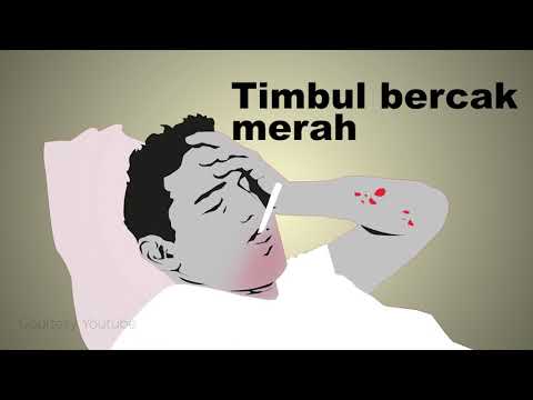 Video: Penyakit Menular Yang Berbahaya