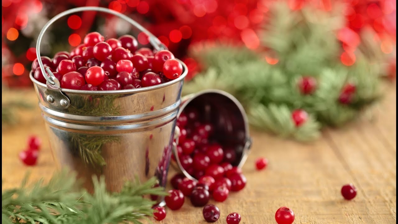 КЛЮКВА - ЯГОДА МОЛОДОСТИ! Полезна при атеросклерозе, диабете, пародонтозе, инфекциях..