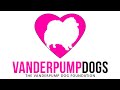 Vanderpump Dog Foundation - Dr. John Sessa, PhD