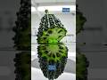 Karela Science: The Bitter Vegetable with Powerful Effects.