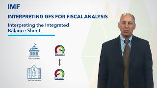 Interpreting the Integrated Balance Sheet