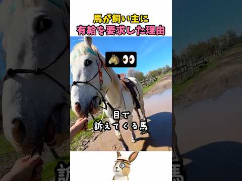 馬が泥水に倒れた理由