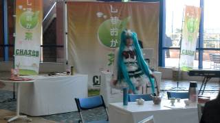 静岡茶のPRイベント。 アクアシティお台場ではじけるミクたん(メグミちゃん)。